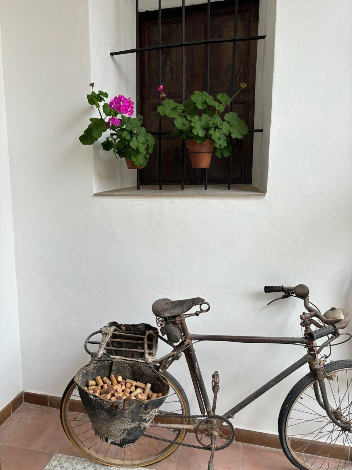 Art Boutique La Casona De Las Flores Ondara Exteriör bild